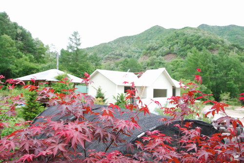 사용자 삽입 이미지