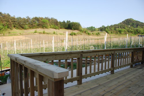 사용자 삽입 이미지