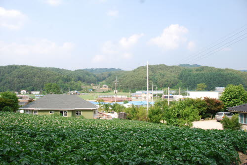 사용자 삽입 이미지