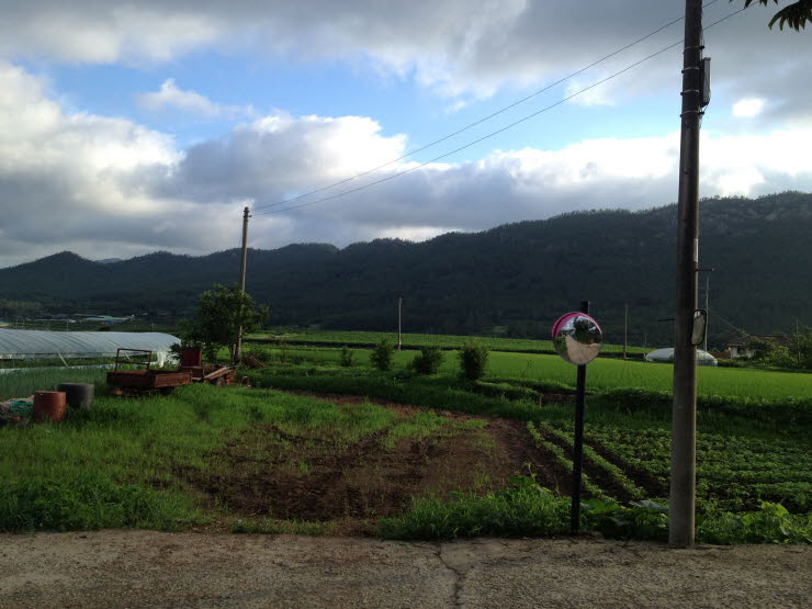 사용자 삽입 이미지