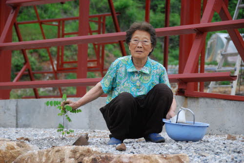 사용자 삽입 이미지