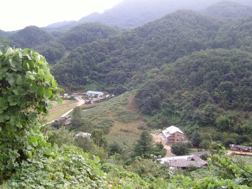 사용자 삽입 이미지