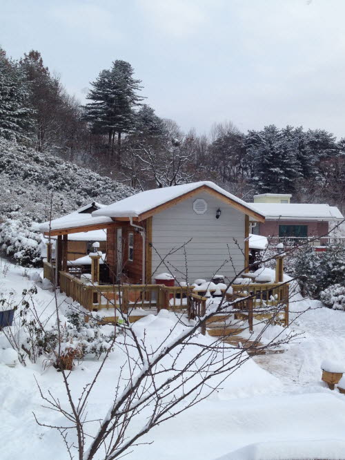 사용자 삽입 이미지