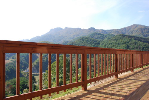 사용자 삽입 이미지