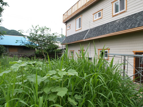 사용자 삽입 이미지