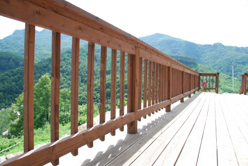 사용자 삽입 이미지