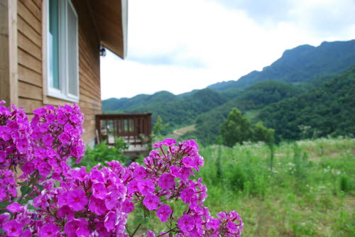 사용자 삽입 이미지