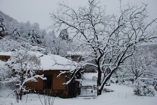 사용자 삽입 이미지