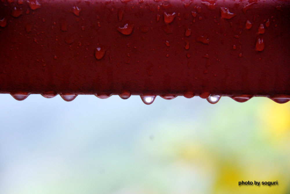 단양 스틸하우스 형강골조에 맺힌 물방울