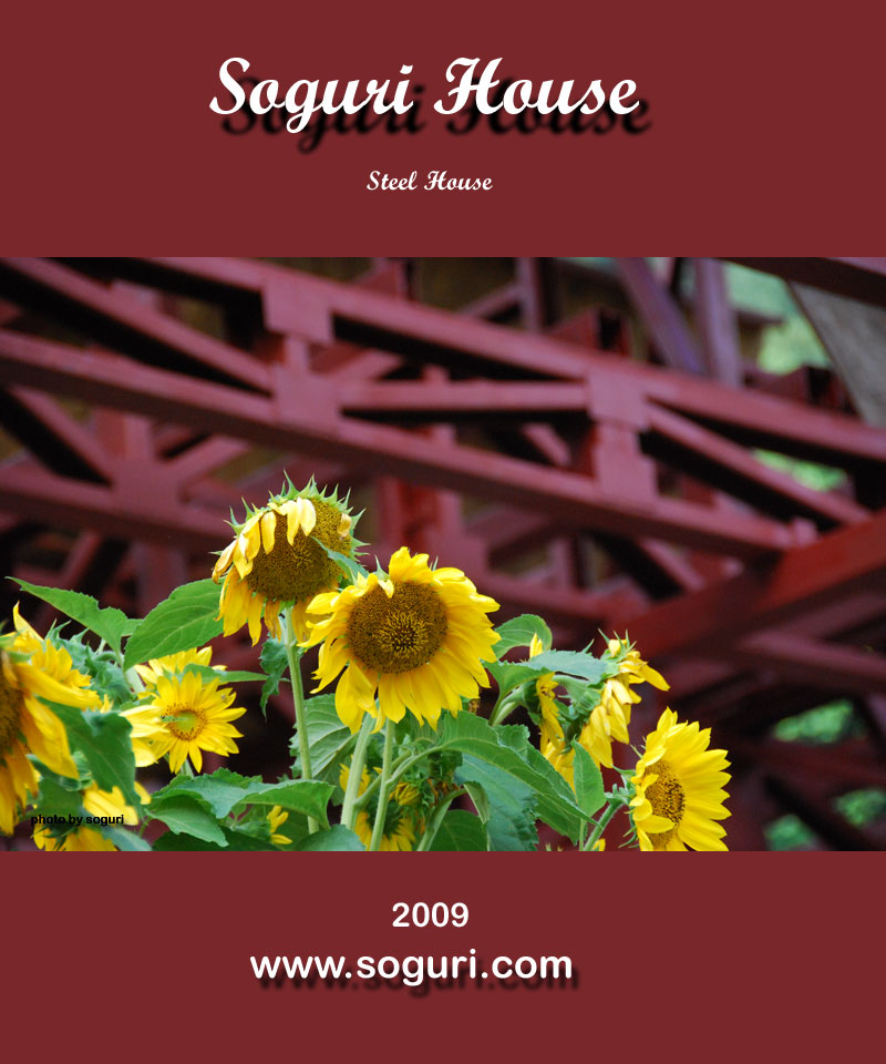 단양 스틸하우스 C형강 워런트러스와 해바라기 