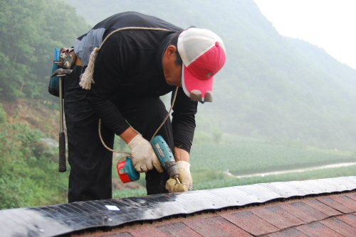 사용자 삽입 이미지