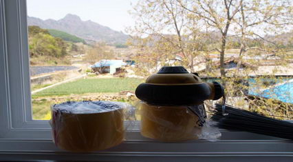 사용자 삽입 이미지