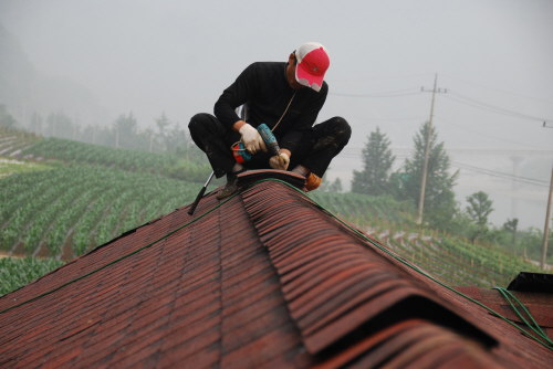 사용자 삽입 이미지