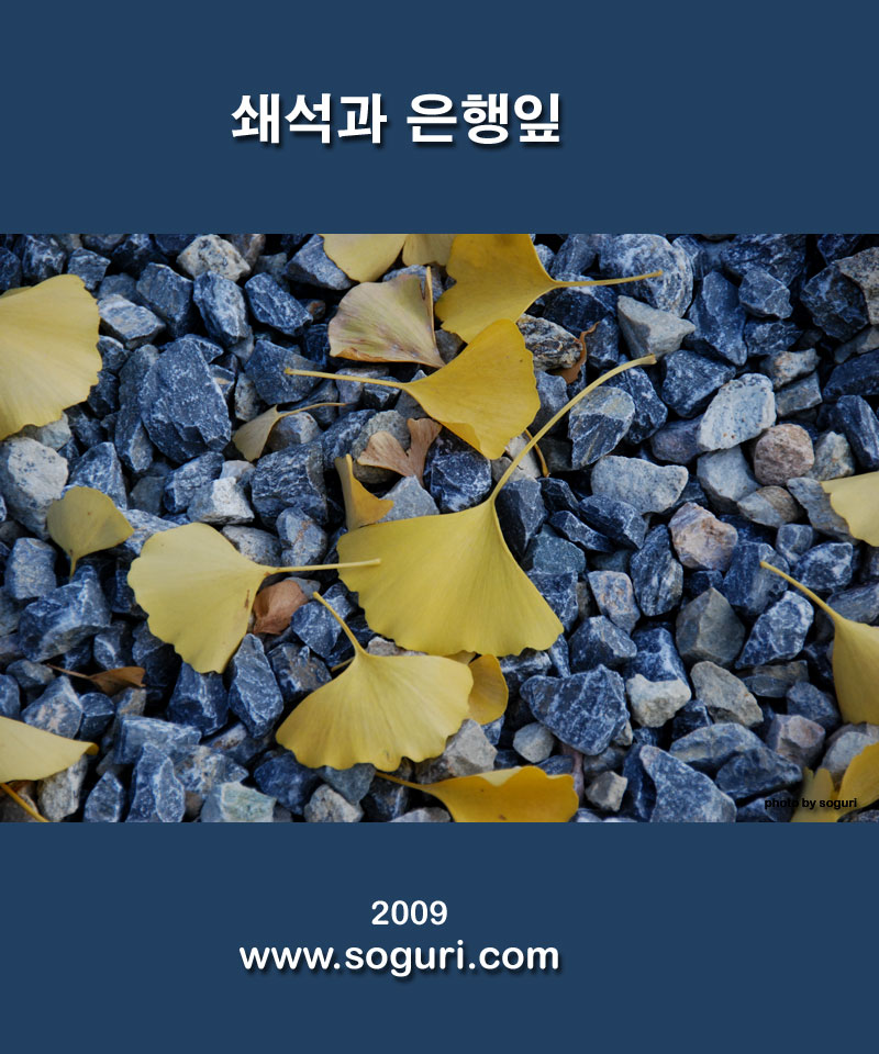 쇄석(깬자갈)과 은행잎 