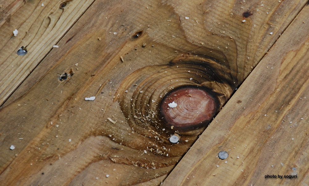 방부목 데크 마루판의 아주 매력적인 옹이 